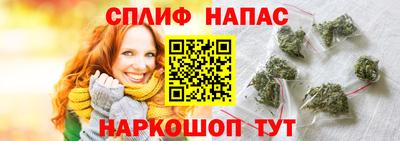 сатива Балахна