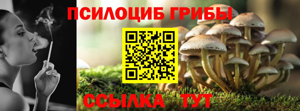 Галлюциногенные грибы мицелий  Псилоцибиновые грибы GOLDEN TEACHER  Артём  Вход с VPN 