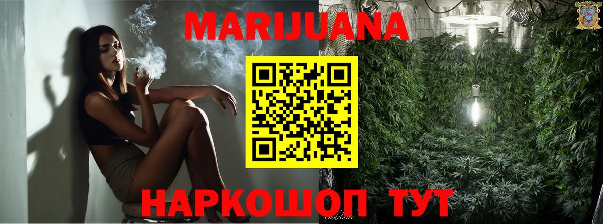 Бошки Шишки семена  МАРИХУАНА сатива  Вход с VPN  Канабис Ganja  Артём 